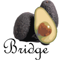 Avocado My Tracks Bridge logo