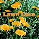 Lawn Care