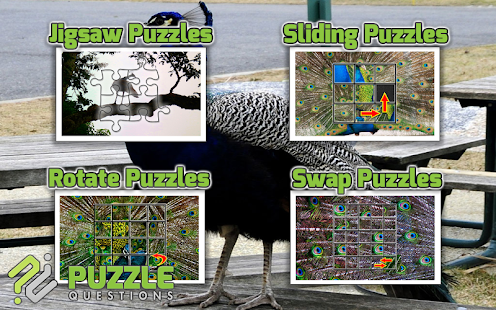 Free Peacock Puzzle Games APK for Android
