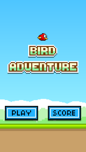 Bird Adventure