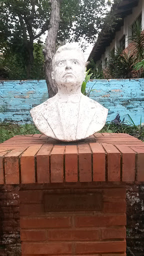 Monumento Profesor Máximo Arellano
