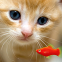 KITTY & FISH LIVE WALLPAPER(6) icon