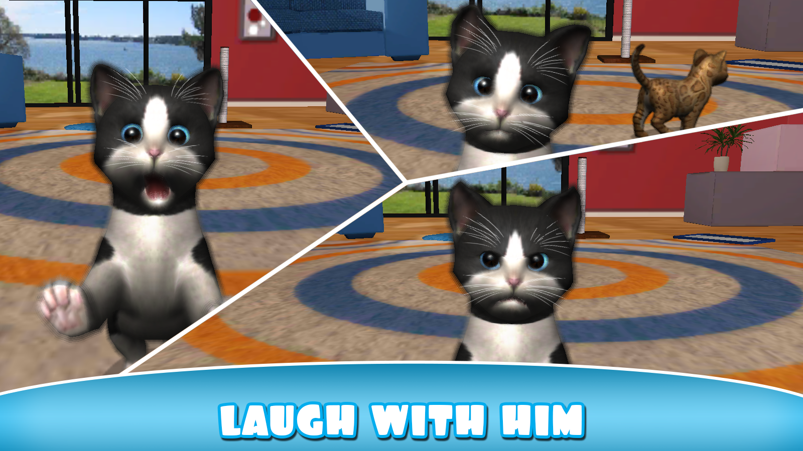 Daily Kitten virtual cat pet Android Apps on Google Play