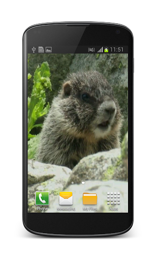 Cute Marmot Free 3D Wallpaper