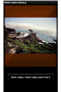 How to download Point Lobos Gallery lastet apk for laptop