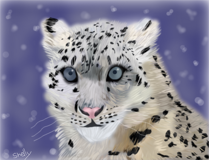 Snow Leopard