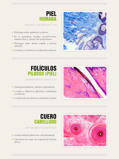 免費下載書籍APP|Atlas Interactivo Histología 5 app開箱文|APP開箱王