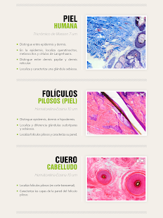 How to install Atlas Interactivo Histología 5 lastet apk for android