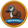 Blackwater National Wildlife Refuge 