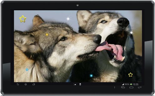 Free Wolf live wallpaper Screenshots 0