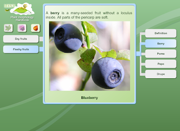 Biology - Plant Morphology poster 15