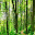 Global Forest Change Download on Windows
