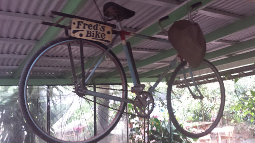 Freds Bike!