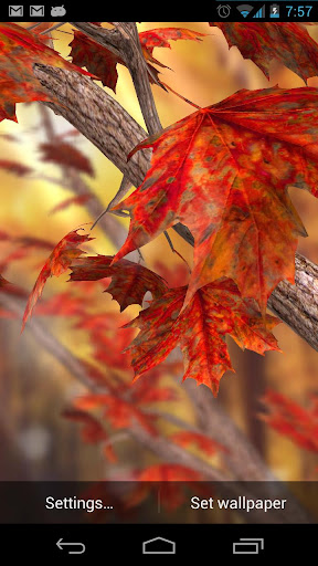 Autumn Tree Free Wallpaper