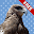 Picture Book Animals FREE Download on Windows