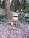 Holzpilz im Wald