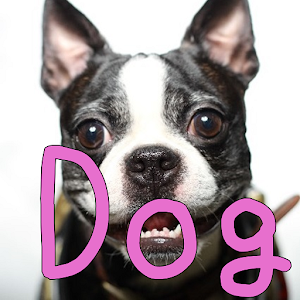 Dog breedQuiz.apk 1.2.0