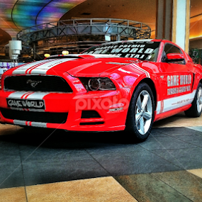 Ford Mustang by Daniel Budau - Transportation Automobiles