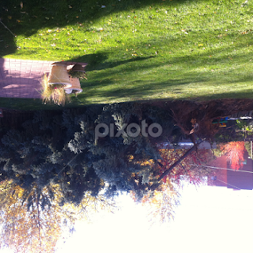 Fallen Giant by Heather Parrish - City,  Street & Park Neighborhoods