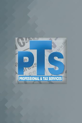 PROFESSIONAL TAX AND SERVICES