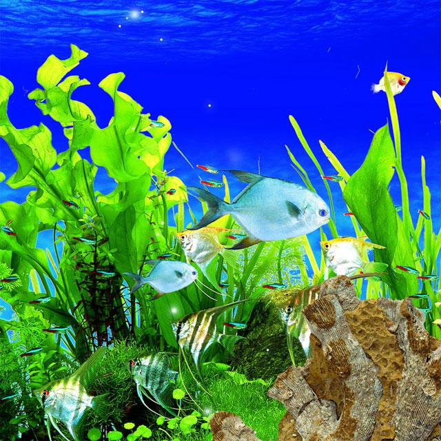 Underwater Jigsaw Puzzles Android Apps on Google Play