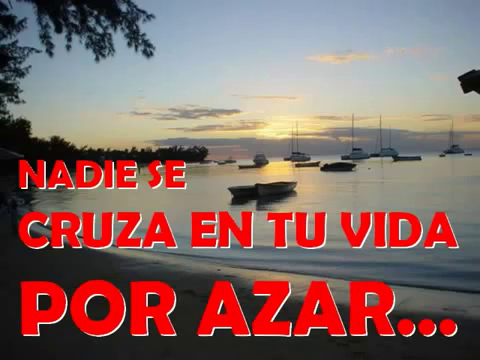 NADIE LLEGA A TU VIDA POR AZAR