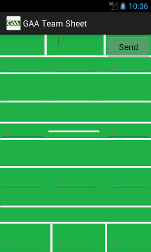 GAA Team Sheet
