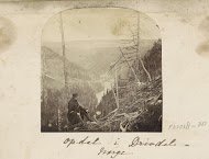 Fjord met beboste hellingen in Noorwegen, op de voorgrond een zittende man