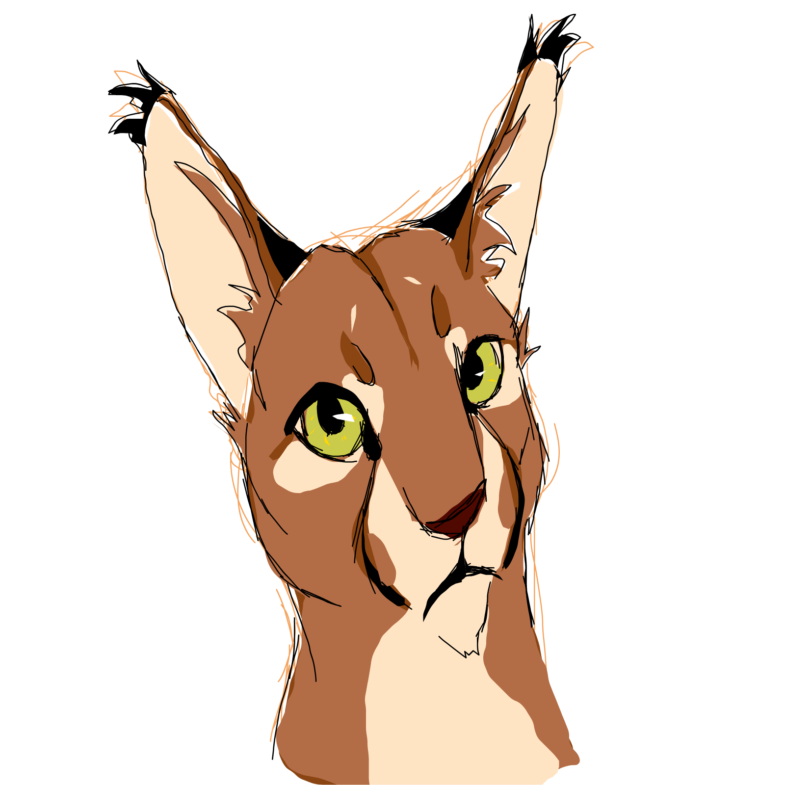 caracal drawing