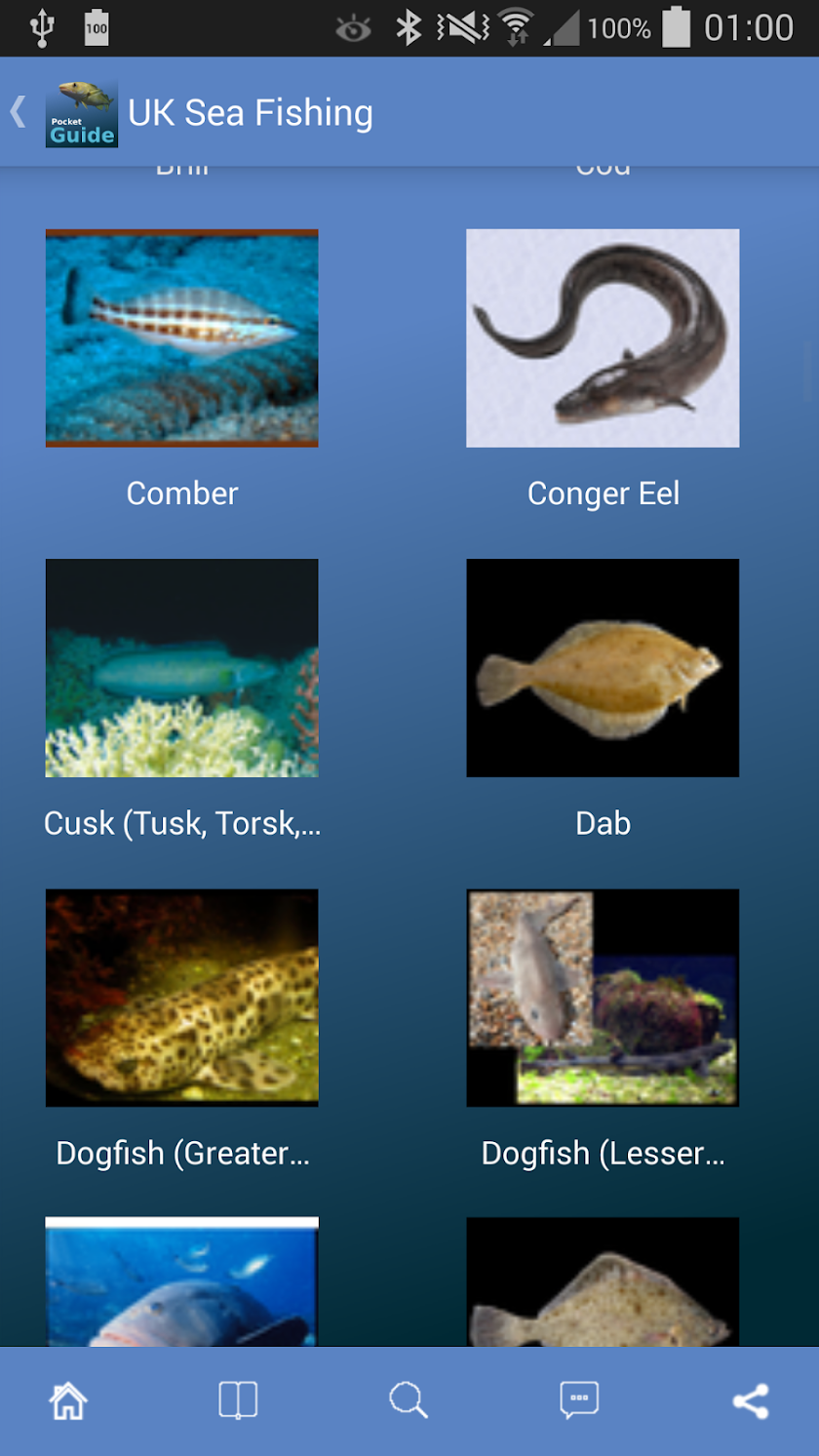 Pocket Guide UK Sea Fishing Screen 2