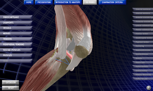 Android application Anatomy Knee screenshot