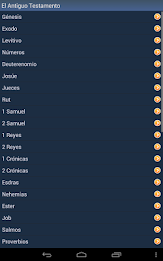 Spanish Holy Bible poster 12