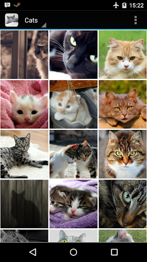 【免費個人化App】Cats and Kittens Wallpapers-APP點子