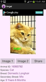 Lastest CVHumane APK for Android