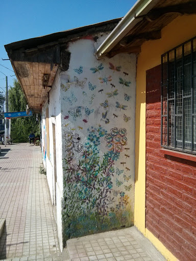 Mariposas 