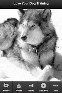 Dog Training Secrets Screenshots 0