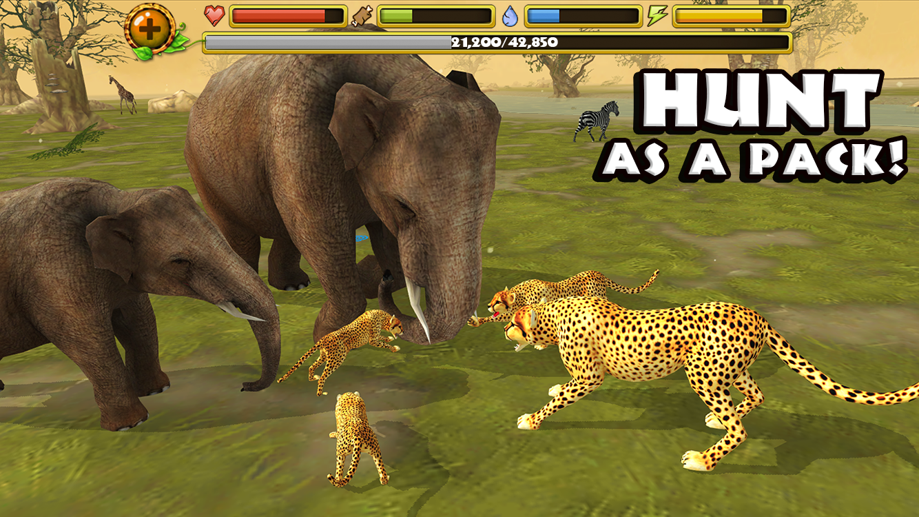 Cheetah-Simulator