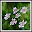 HD Photography India Download on Windows