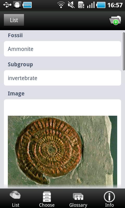 Fossils Screen 2
