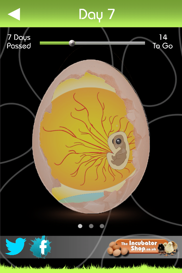 iHatch-Chickens Screen 3