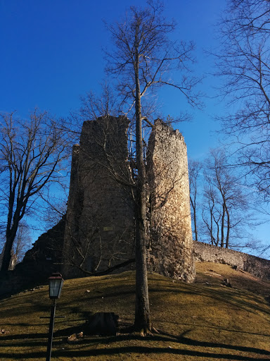 Ruins of a Tower
