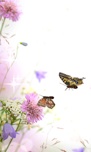 download ดอกไม้สดวอลล์เปเปอร์ Canno free