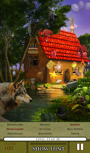 Hidden Object: The Storyteller