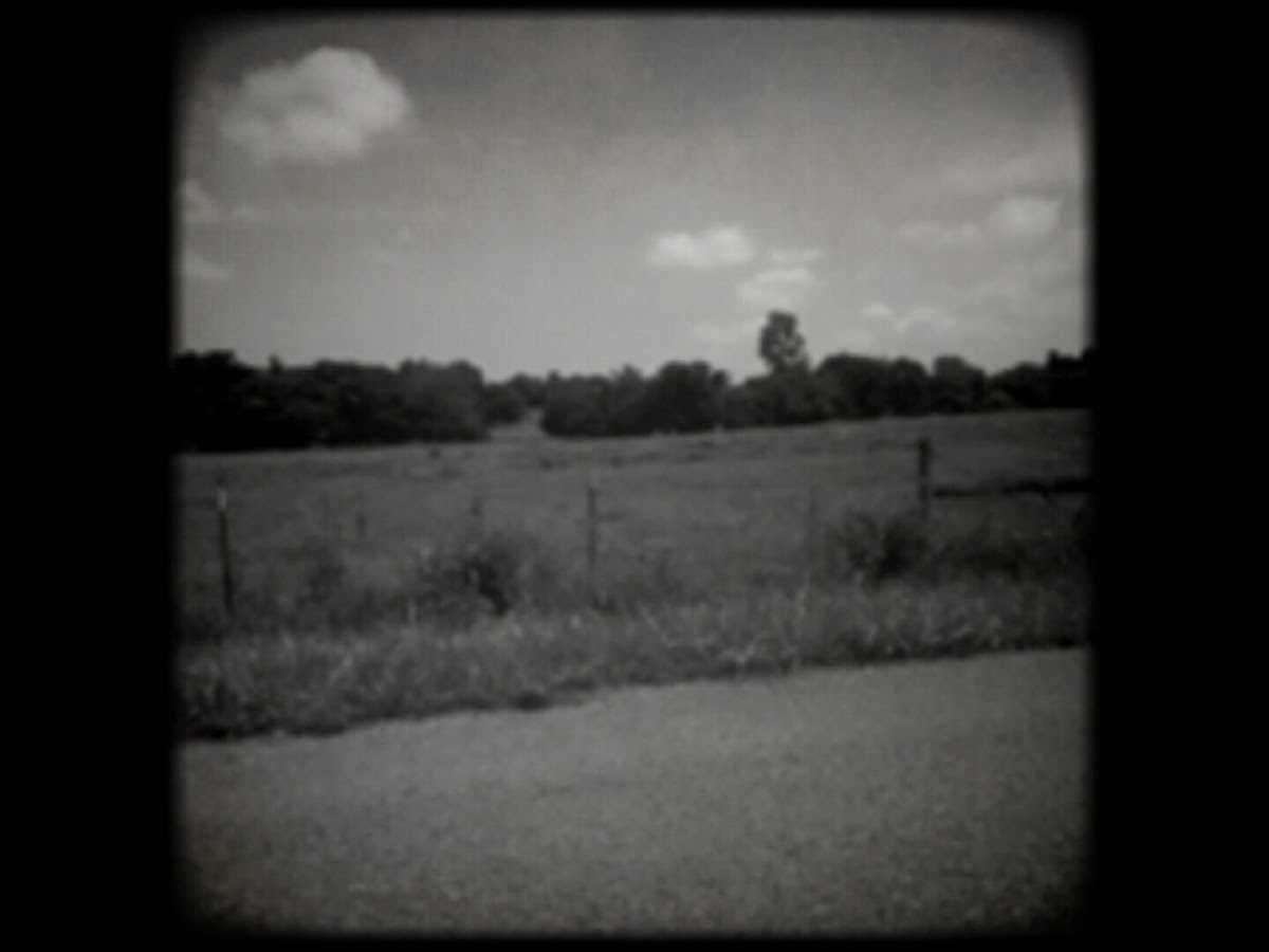 Vintage 8mm Video Camera - screenshot