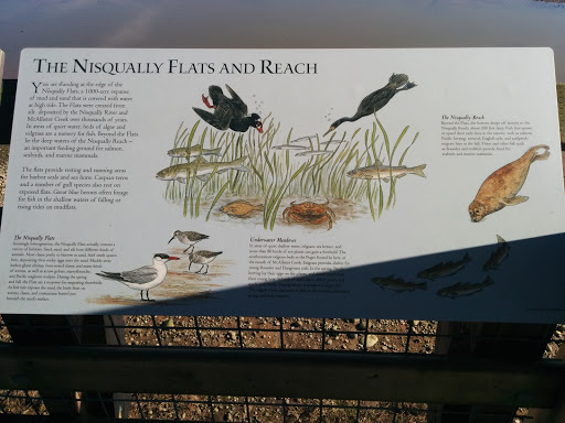 The Nisqually Flats and Reach