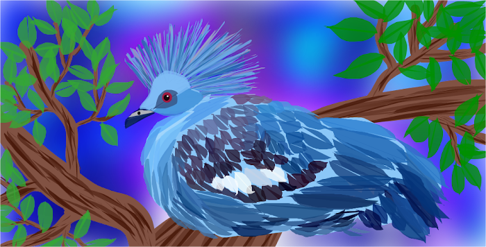 Victoria Crowned Pigeon