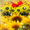 Sunflower Garden LWP