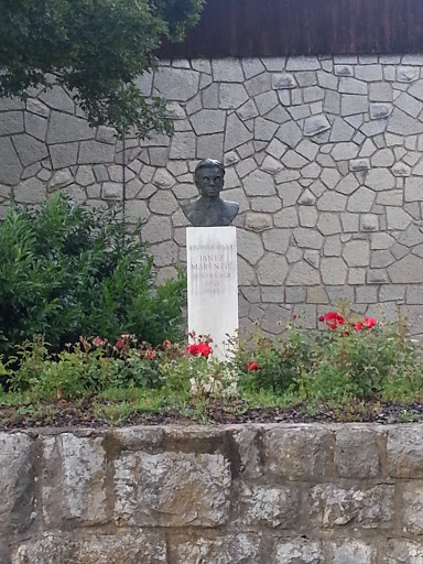 Črnomelj Spomenik Janeza Marenšiča