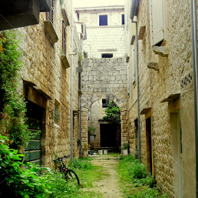 by Mariana Bešker - City,  Street & Park Street Scenes