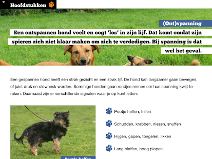 Nieuwe Hond Screenshots 5